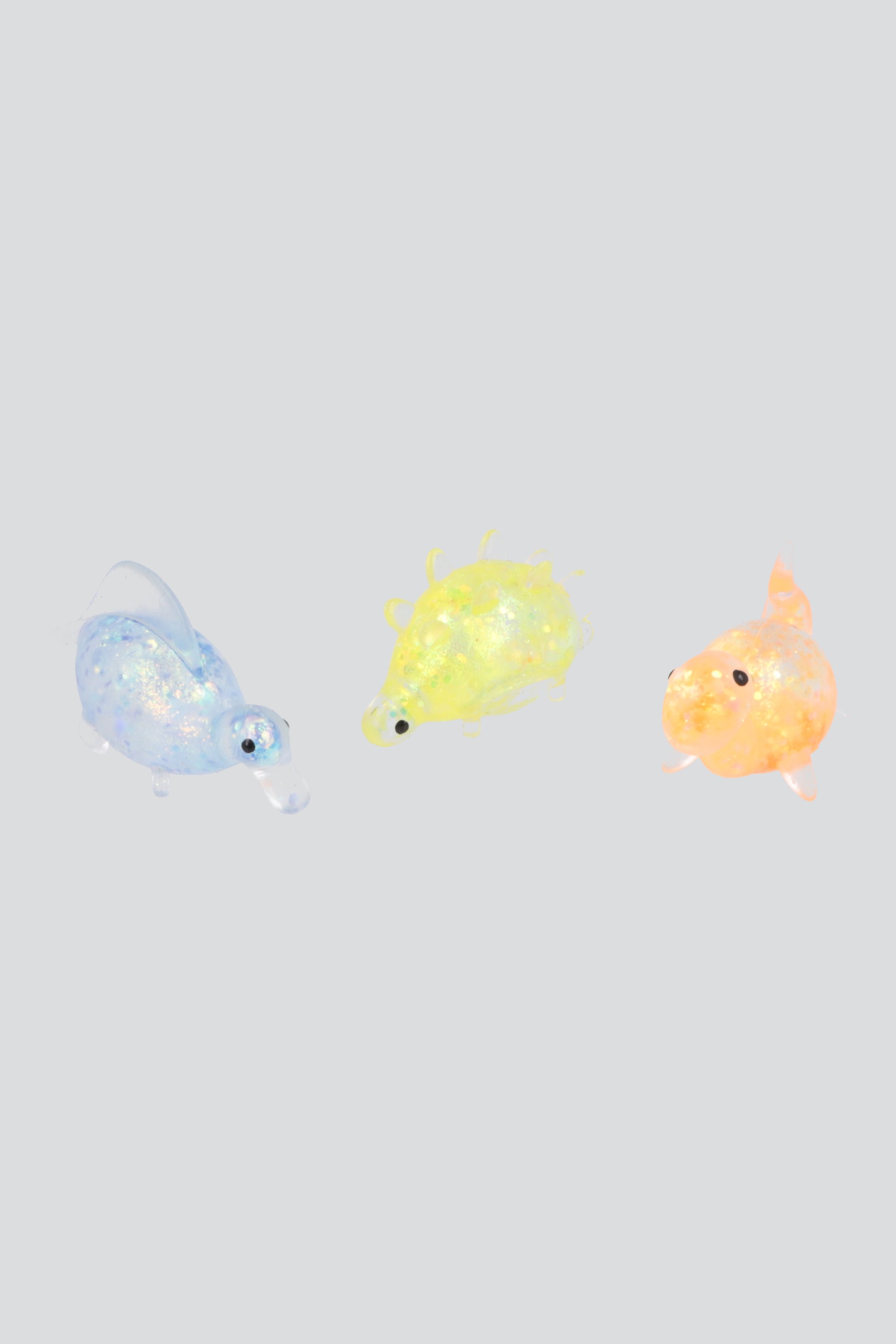 MULTICOLOR