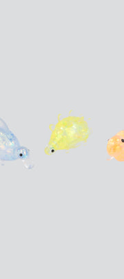 MULTICOLOR