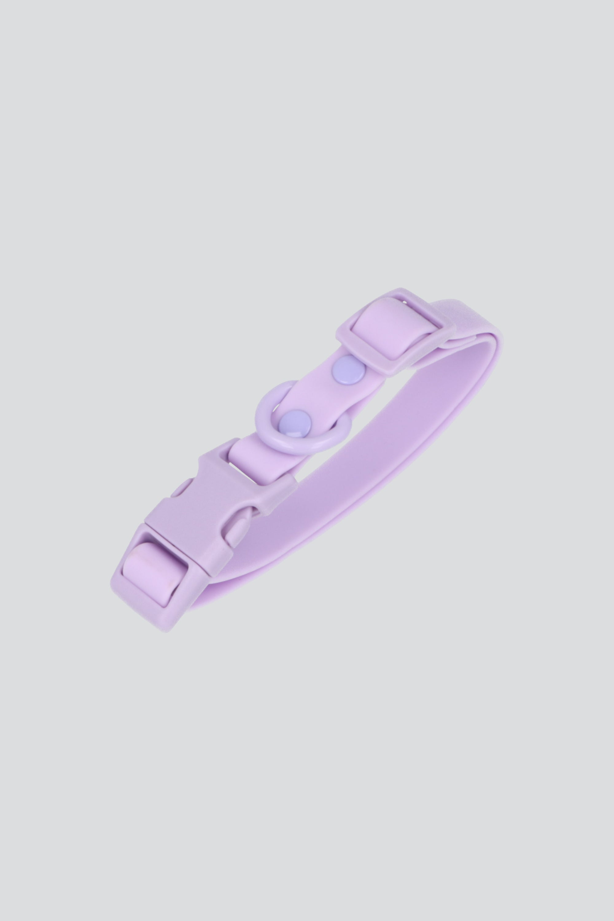 Collar mascota silicon MORADO