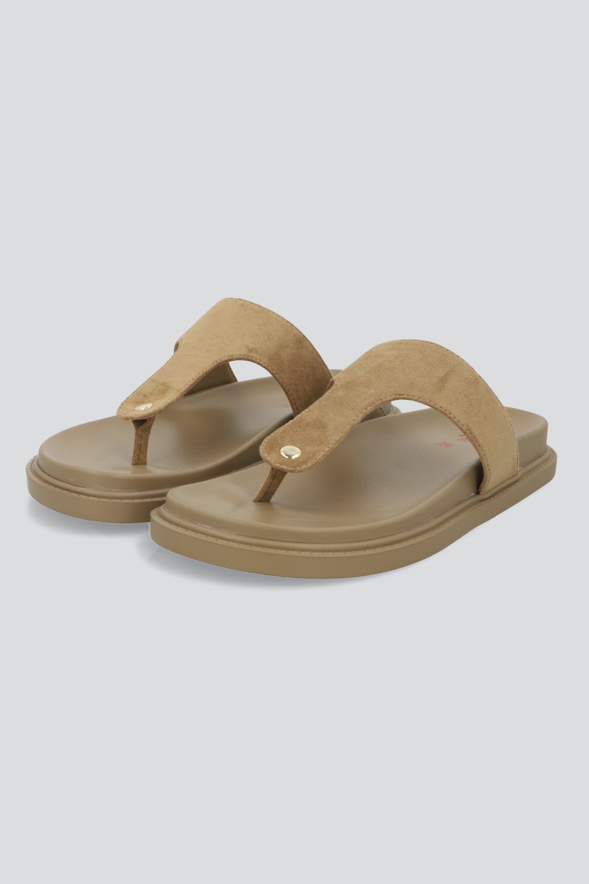 CAMEL