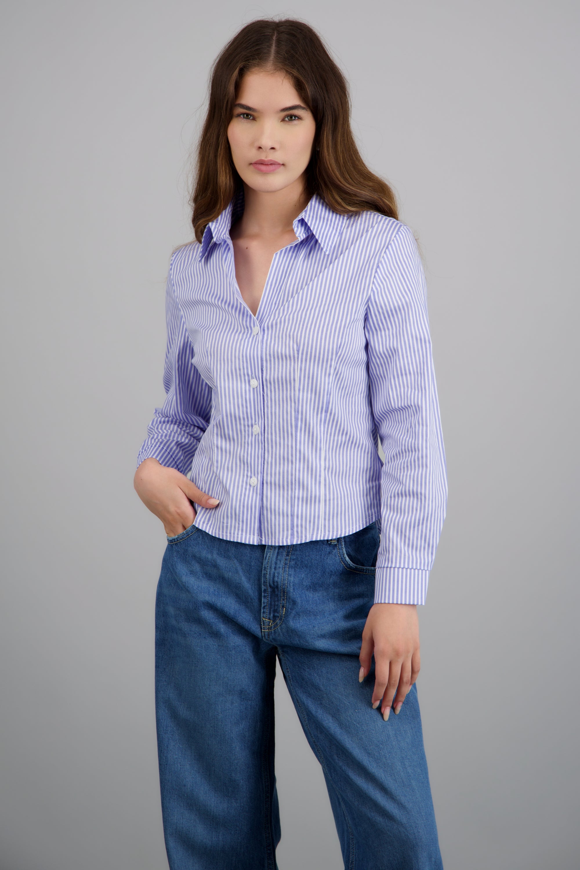 Camisa manga larga pinzas detalle rayas AZUL COMBO