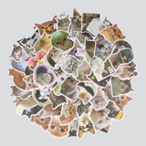 Set 50 stickers gatos memes