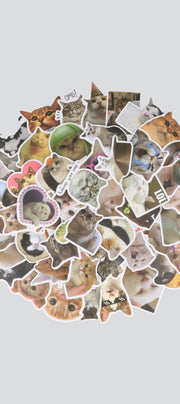 Set 50 stickers gatos memes
