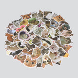 Set 50 stickers gatos memes