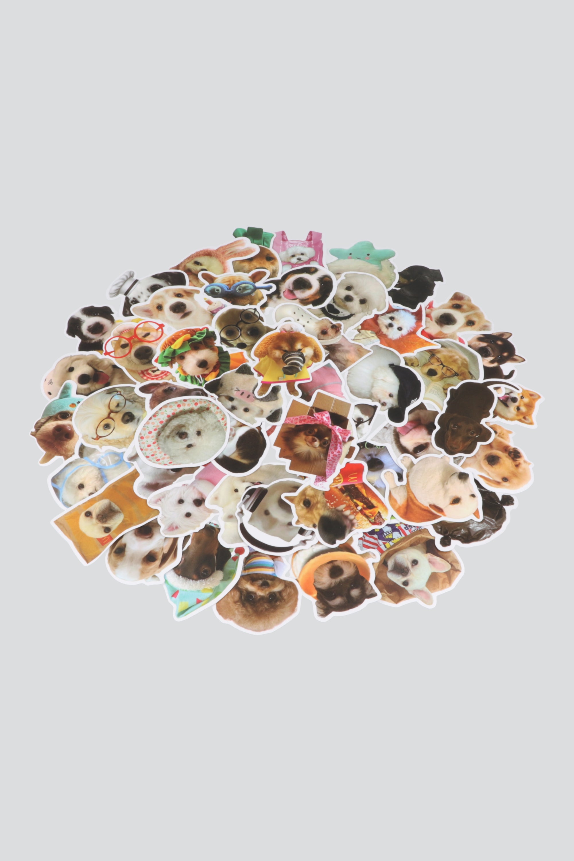 Set 50 stickers perritos tiernos MULTICOLOR