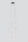 PLATA