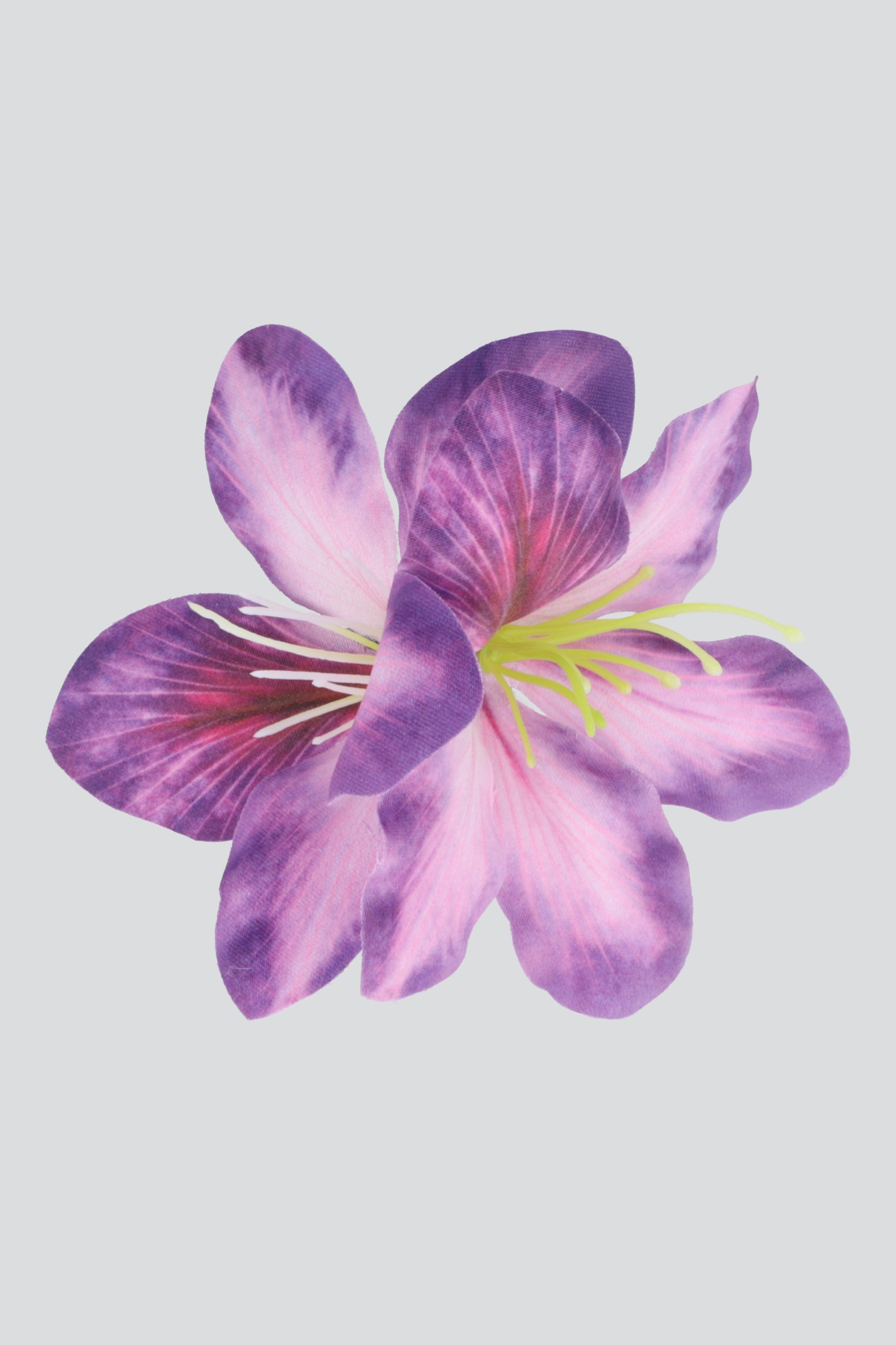 MORADO
