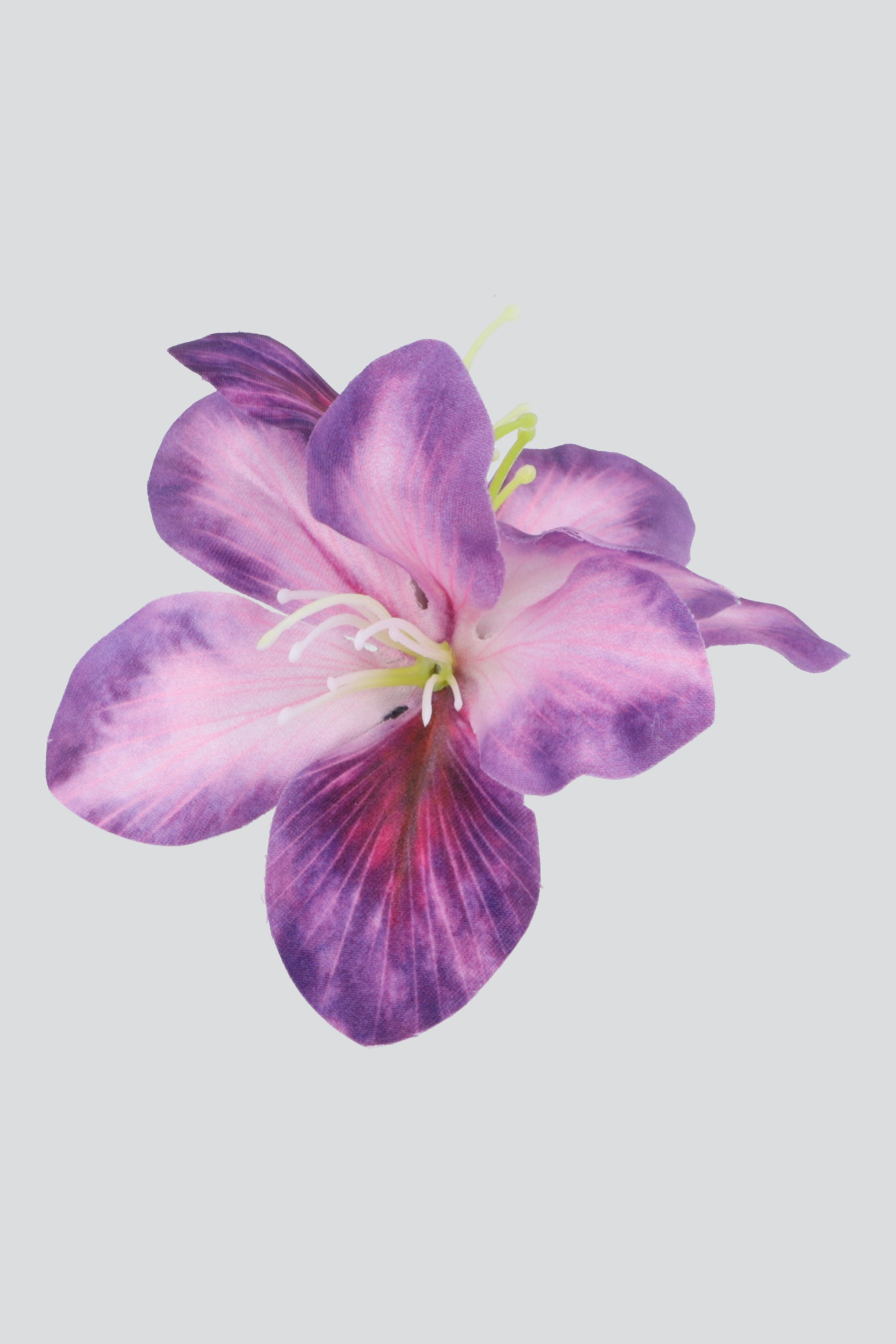 MORADO