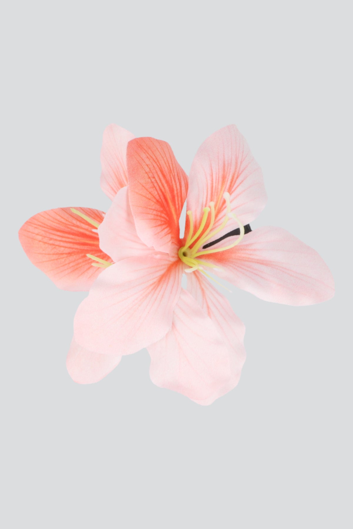 Pasador flor real CORAL
