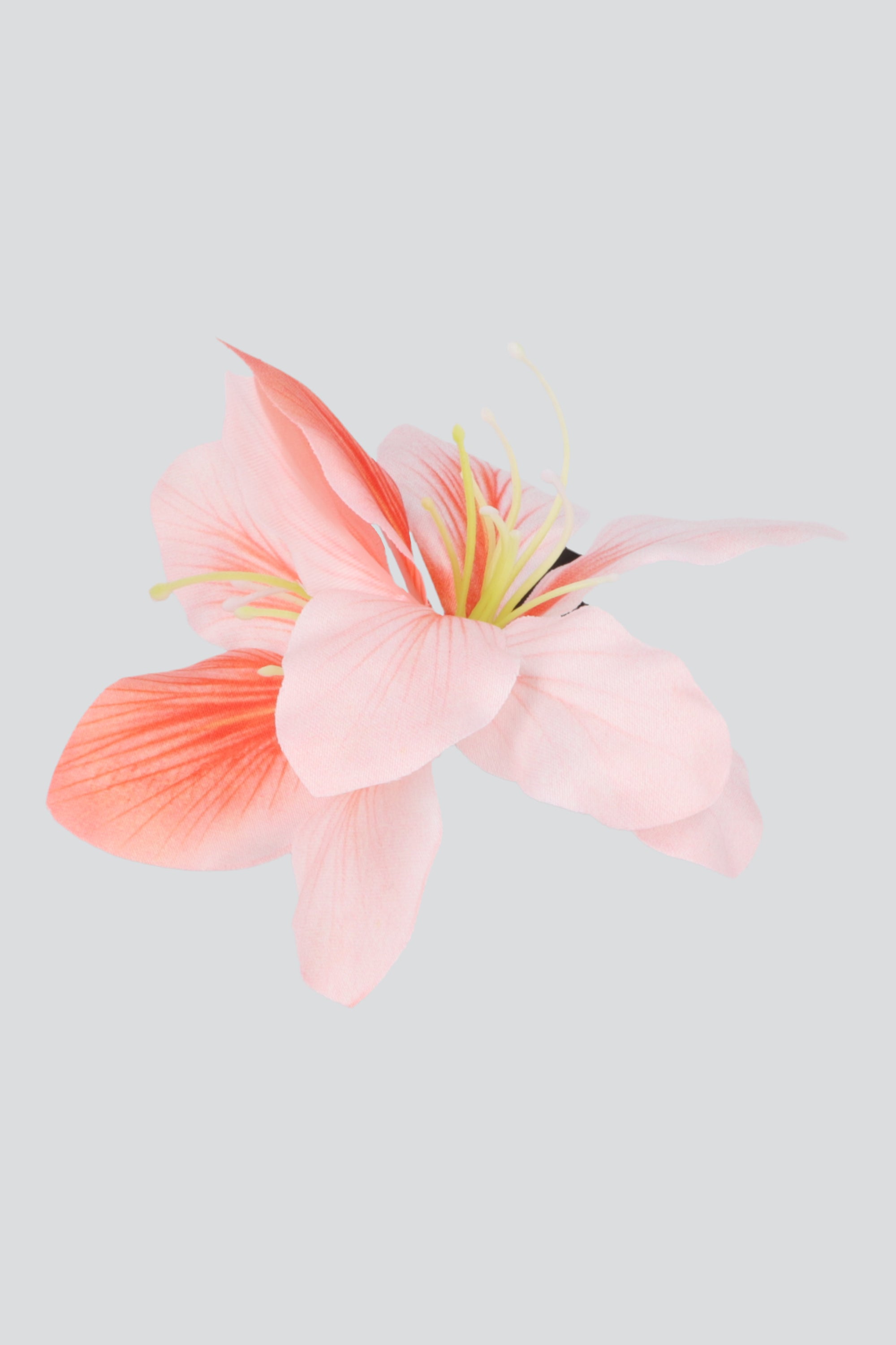 Pasador flor real CORAL
