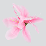 PALO DE ROSA