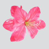 FIUSHA