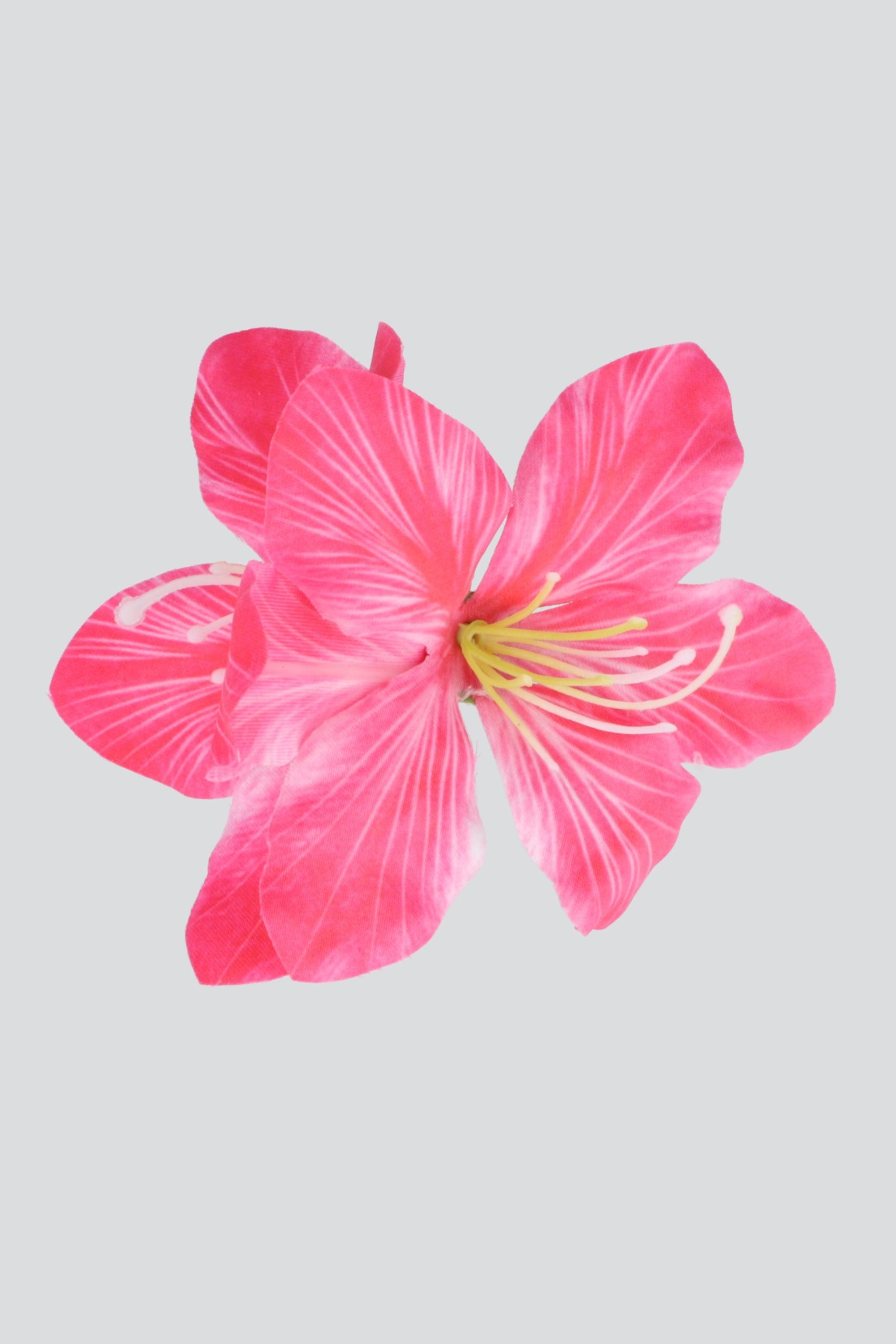 FIUSHA