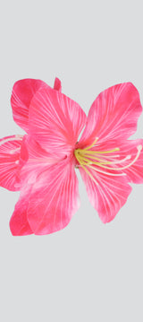 FIUSHA