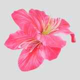 FIUSHA