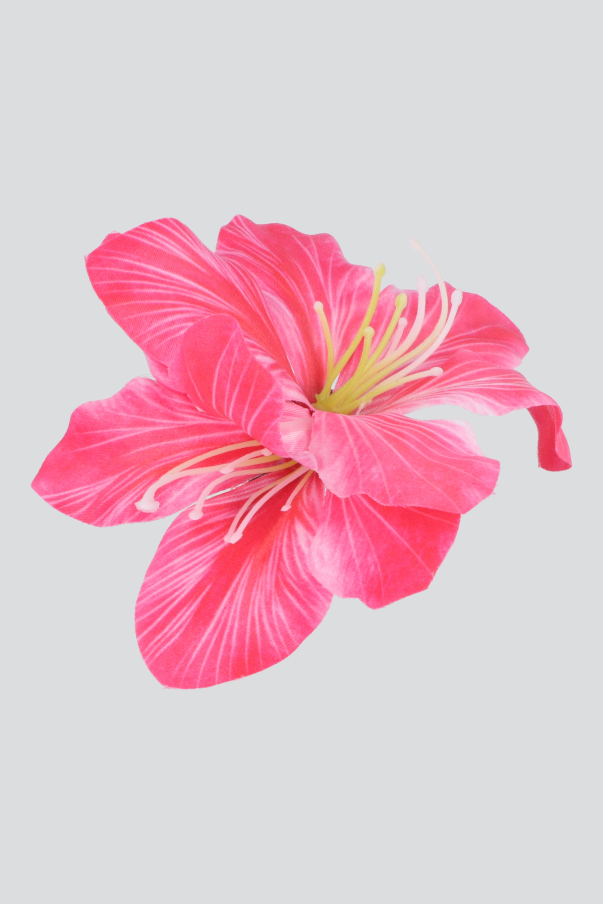 FIUSHA