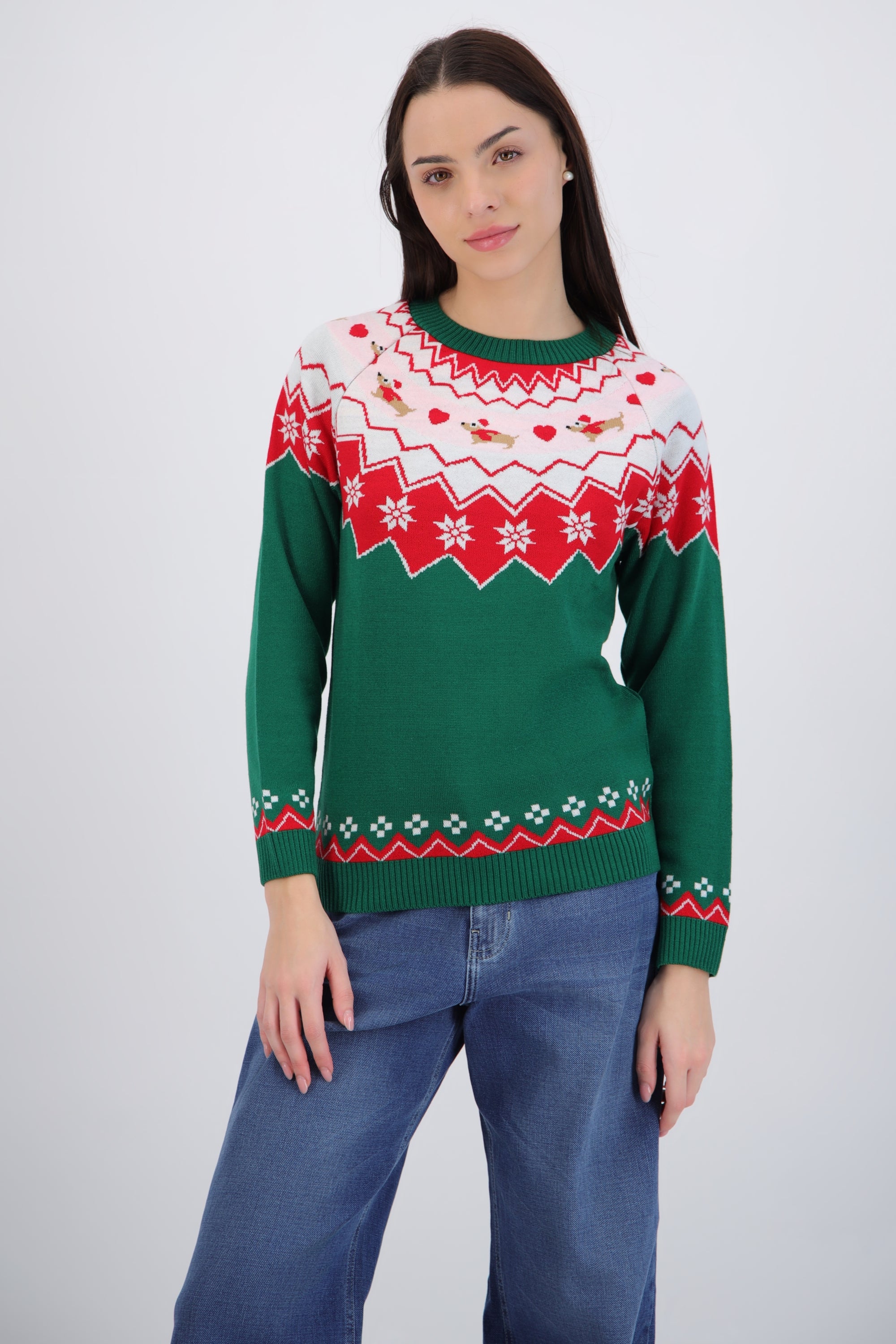 Suéter navidad perro salchicha mini