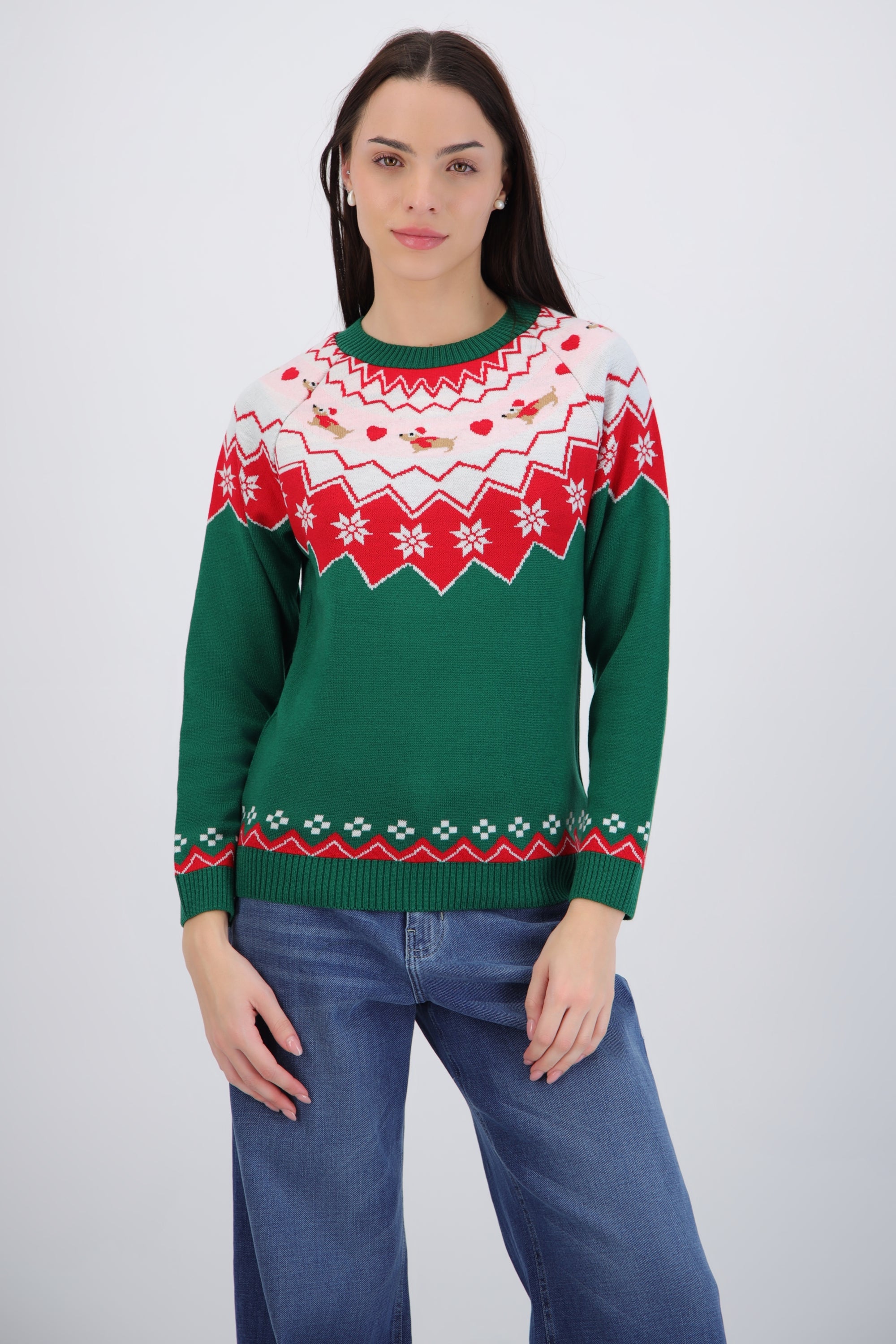 Suéter navidad perro salchicha mini