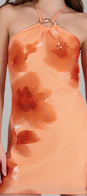 CORAL COMBO