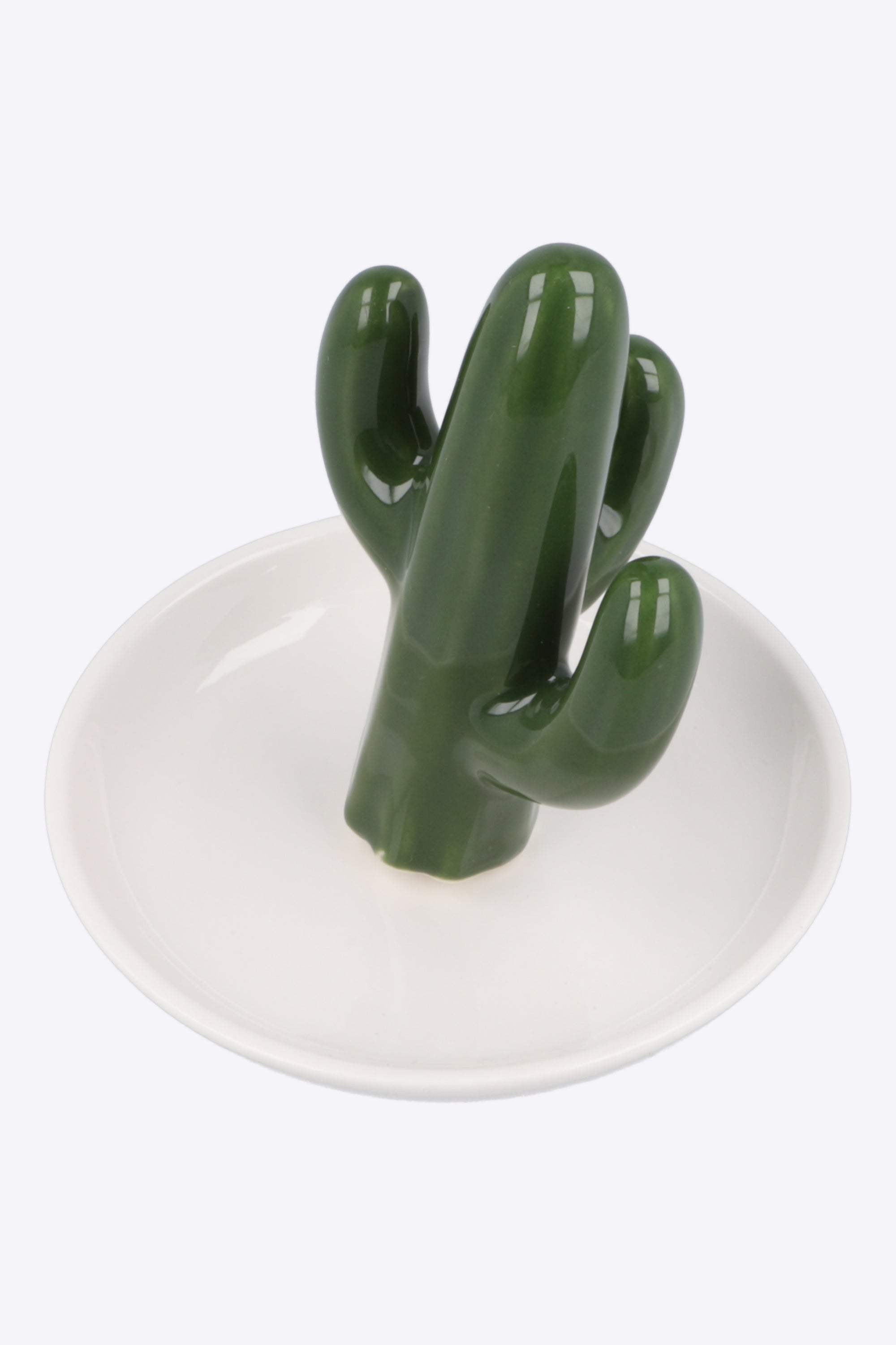 Alhajero cactus