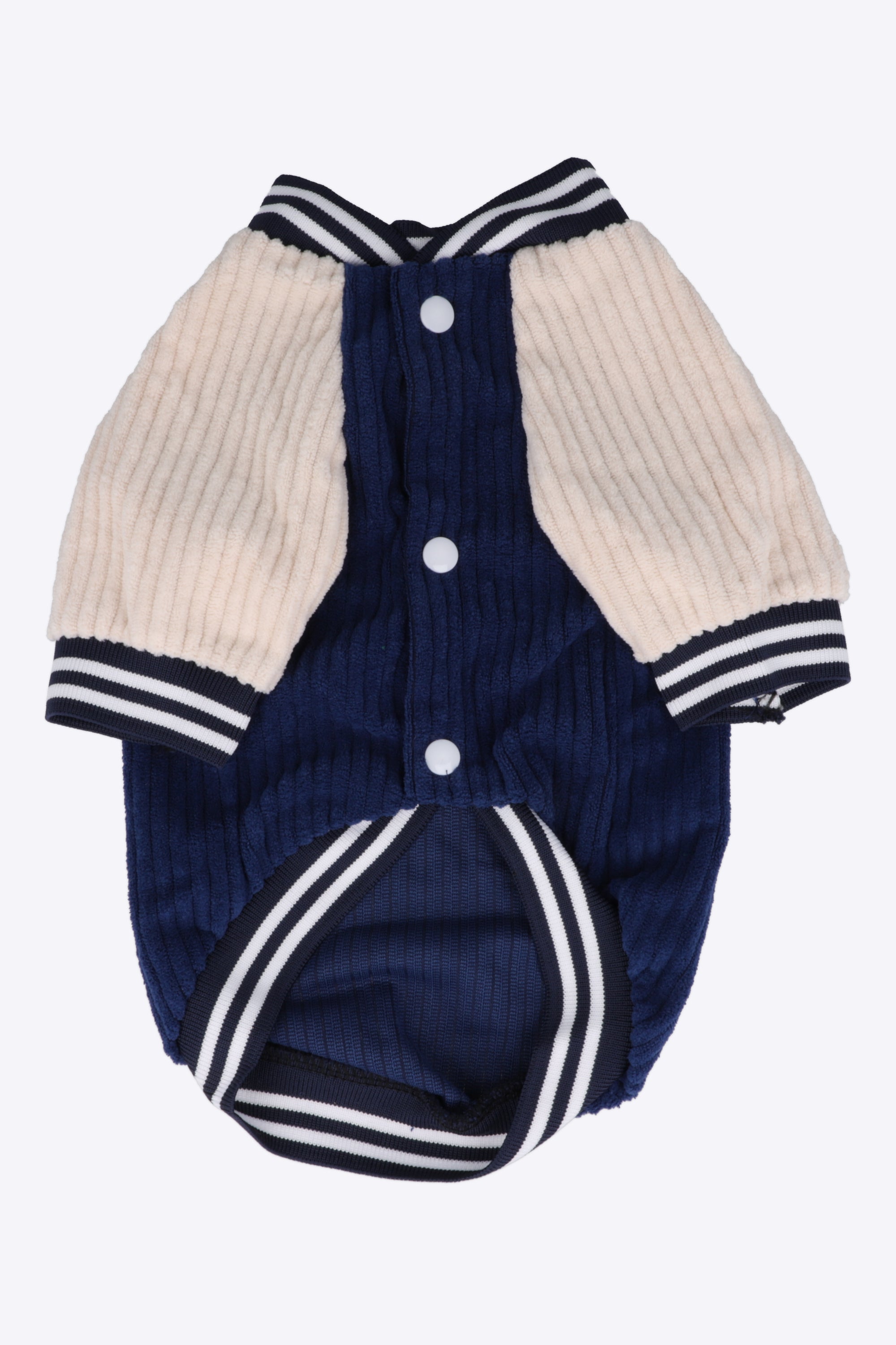 Chamarra varsity mascota