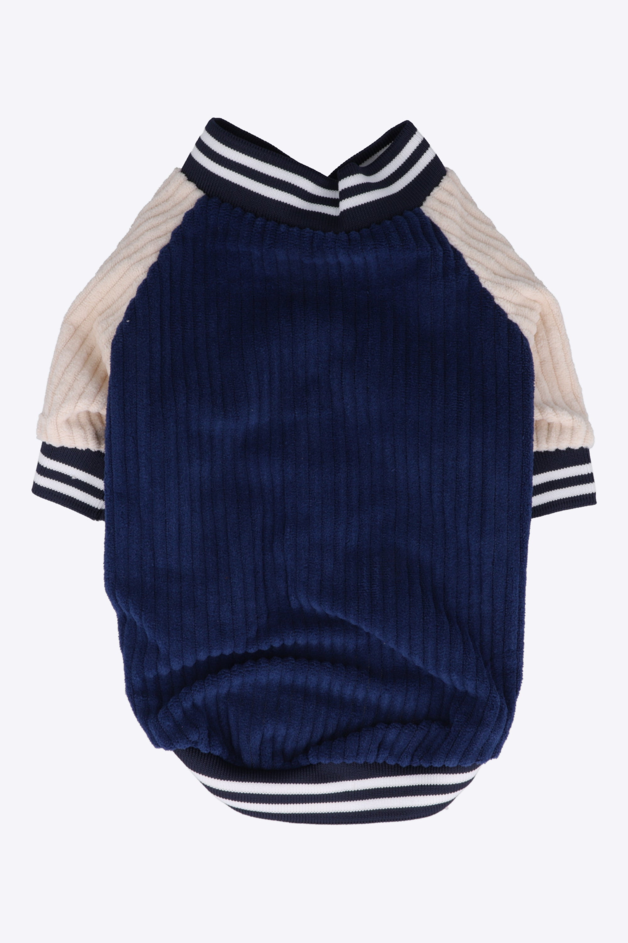 Chamarra varsity mascota