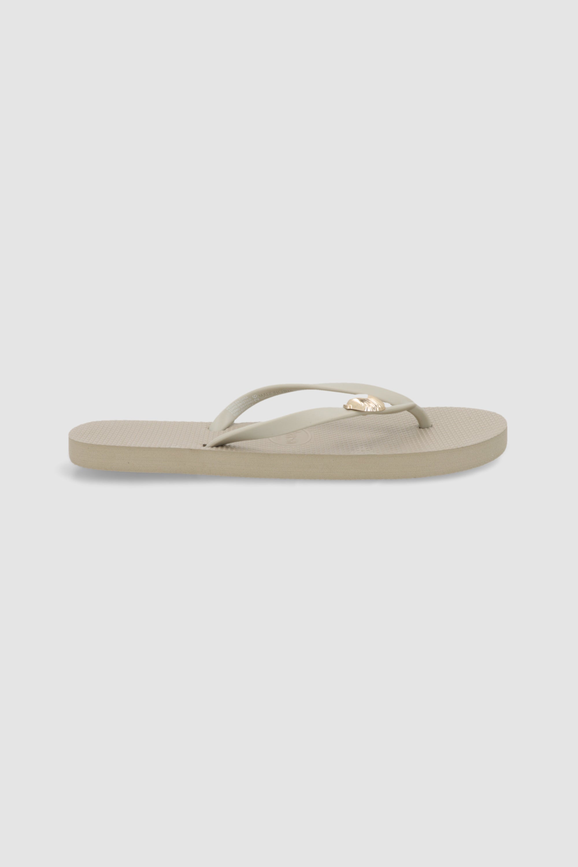 Flip flop concha marina TAUPE