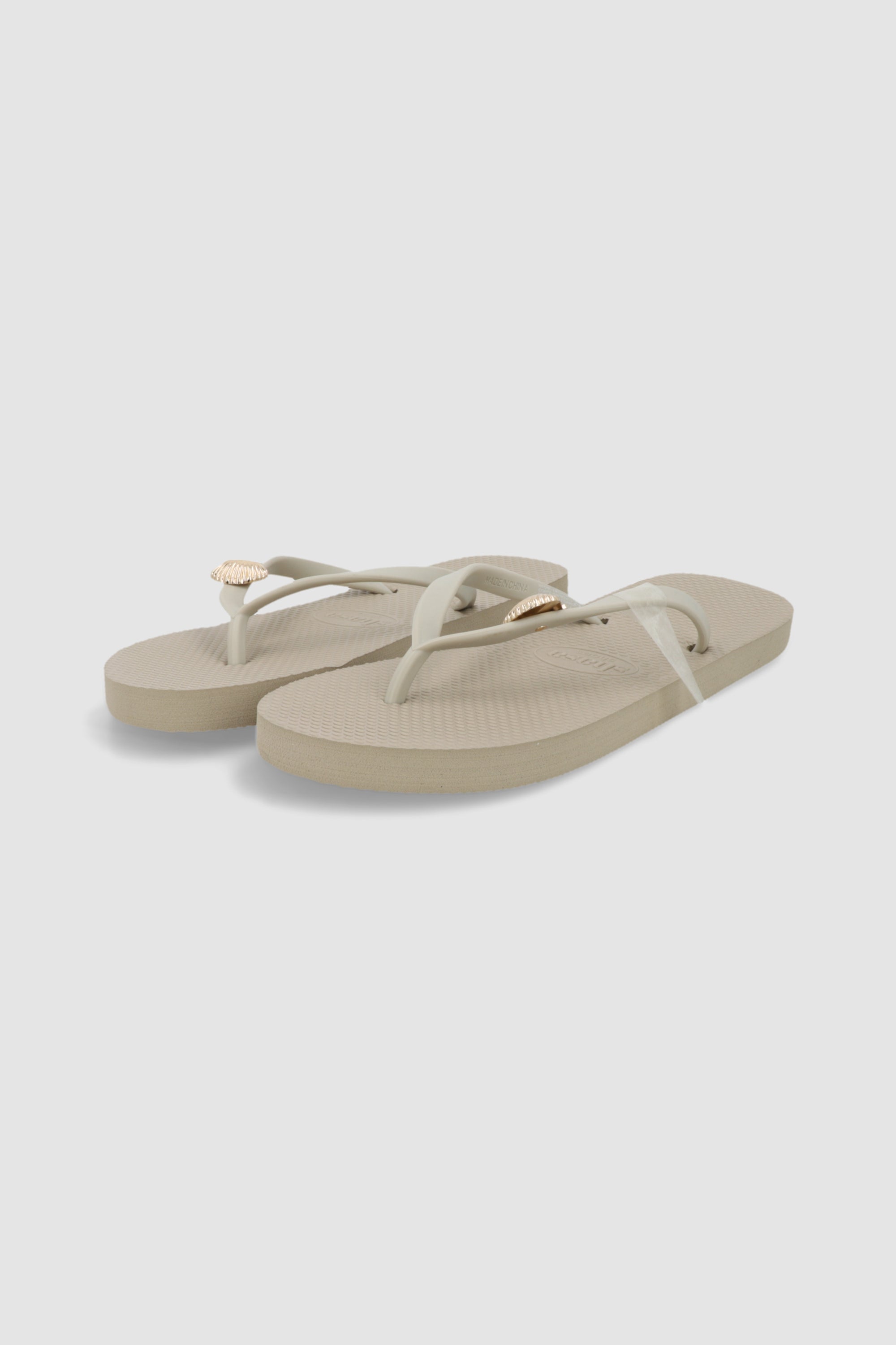 Flip flop concha marina TAUPE