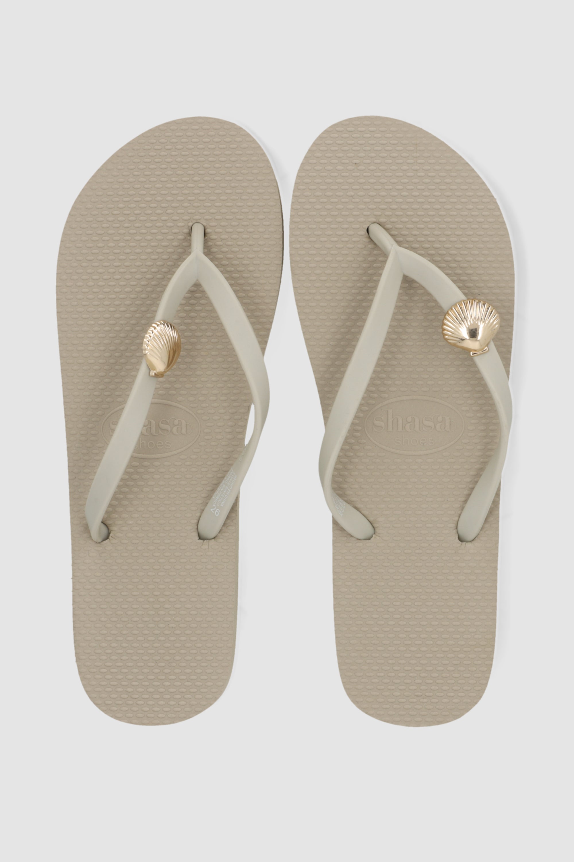 Flip flop concha marina TAUPE