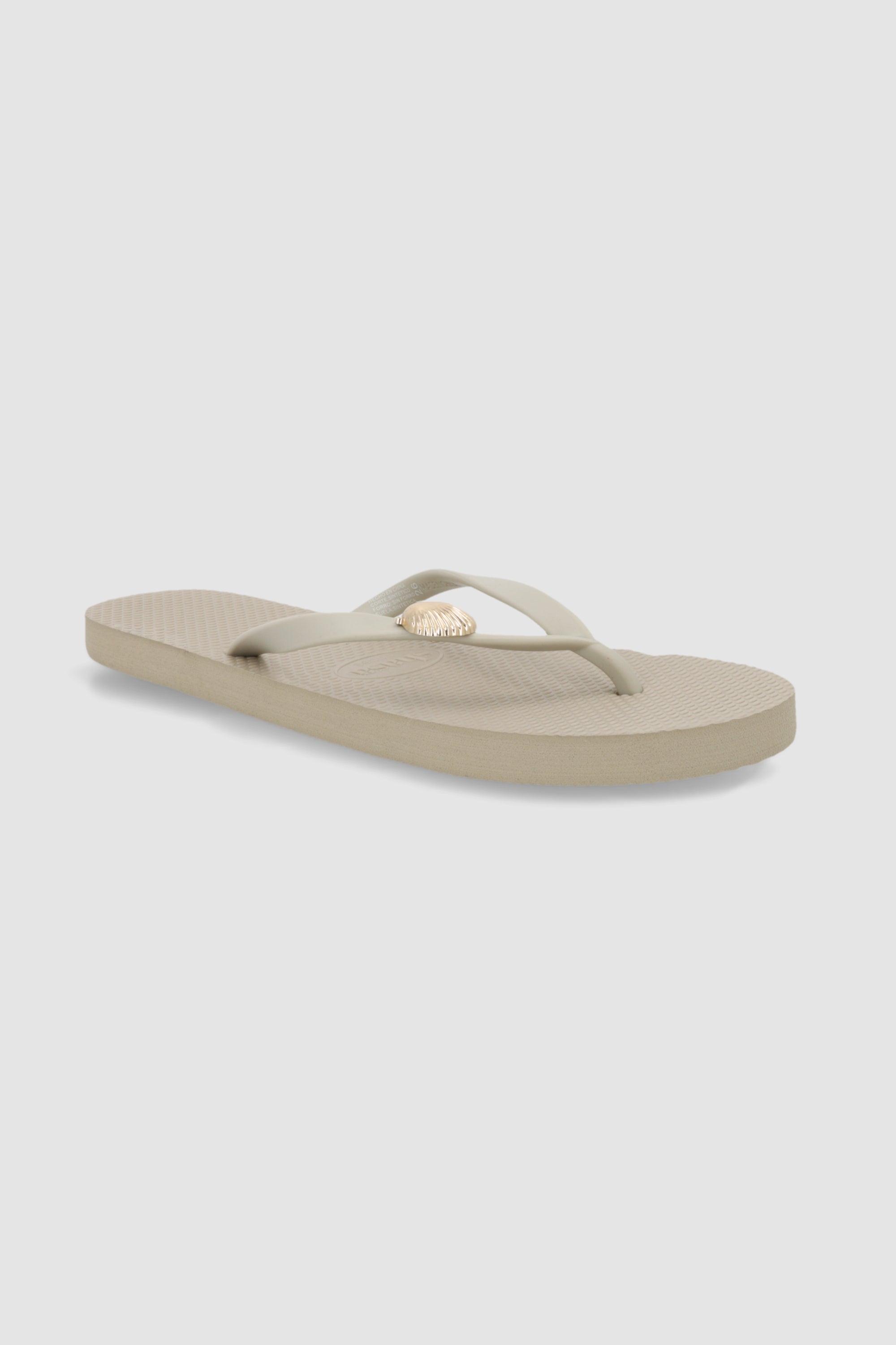 Flip flop concha marina TAUPE