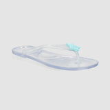TRANSPARENT