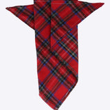 Bandana mascota tartán