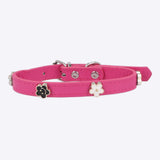 Collar mascota aplicación flor