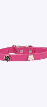 Collar mascota aplicación flor