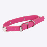 Collar mascota aplicación flor