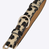 Collar mascota animal print