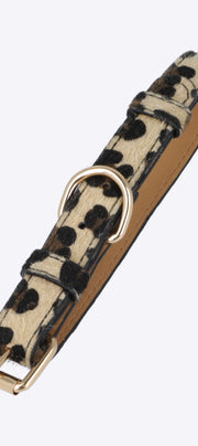 Collar mascota animal print