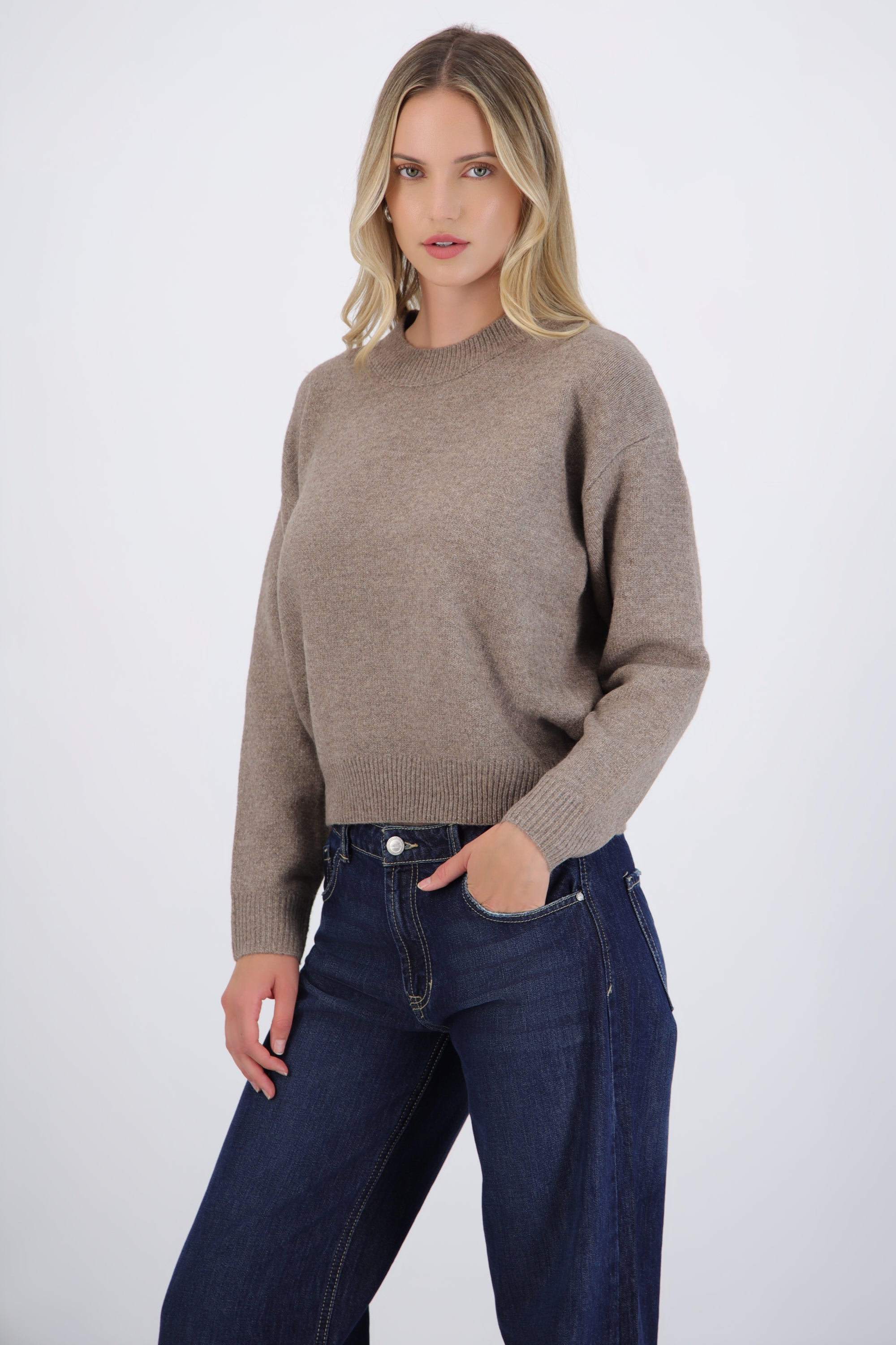 Suéter cuello redondo textura suave