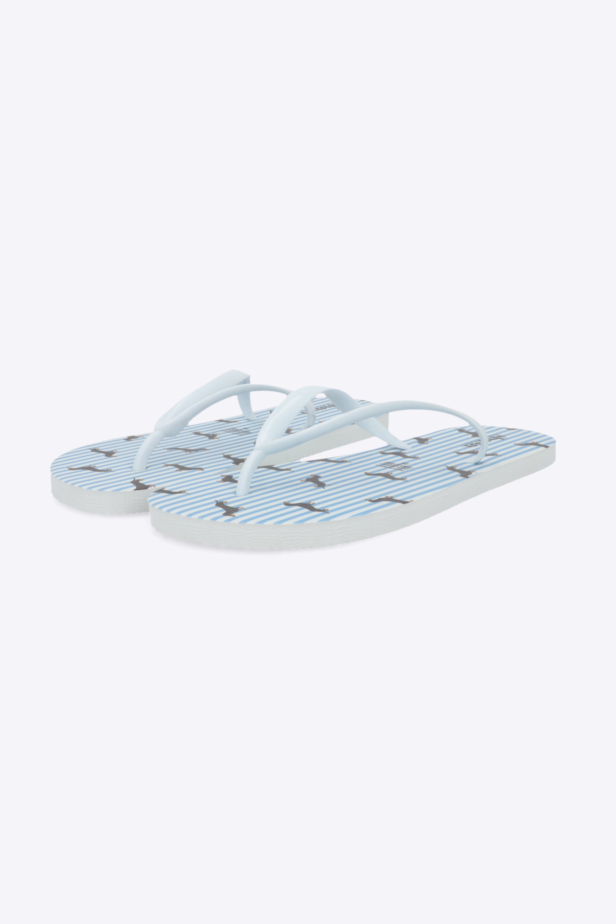 Flip flop estampado perritos