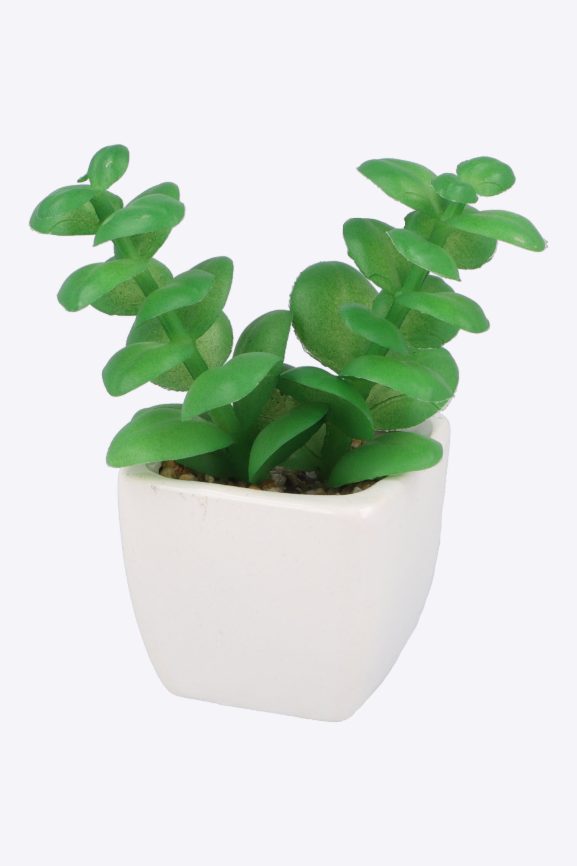 Planta artificial decorativa