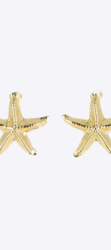 Aretes estrella mar acero