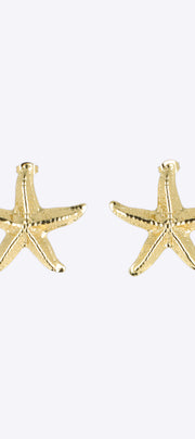 Aretes estrella mar acero