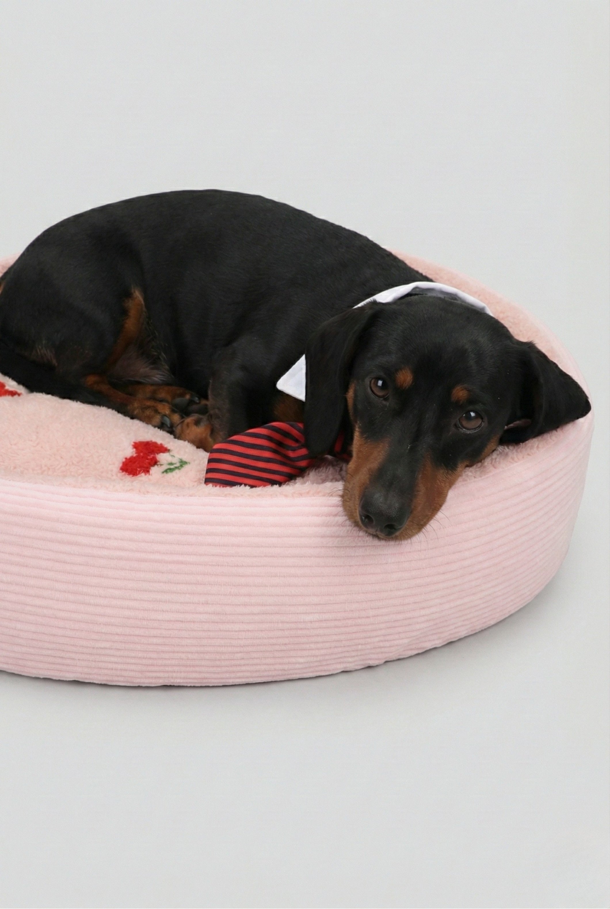 Cama mascota cerezas 50cm ROSA