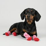 Calcetines mascota huellas antideslizantes