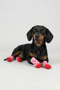 Calcetines mascota huellas antideslizantes