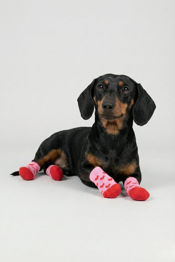 Calcetines mascota huellas antideslizantes