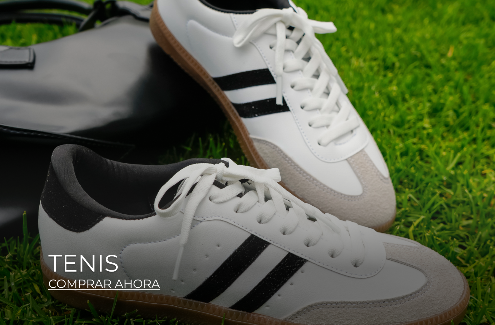 Tenis