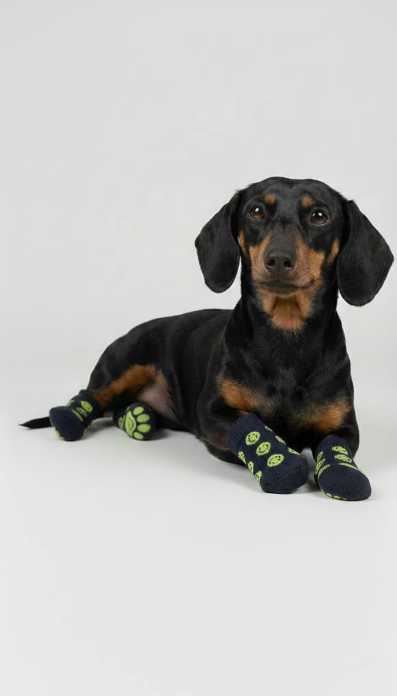 Set 2 pares calcetines mascota caritas felices