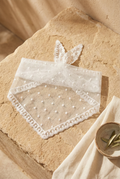 Pañuelo organza puntos bordados
